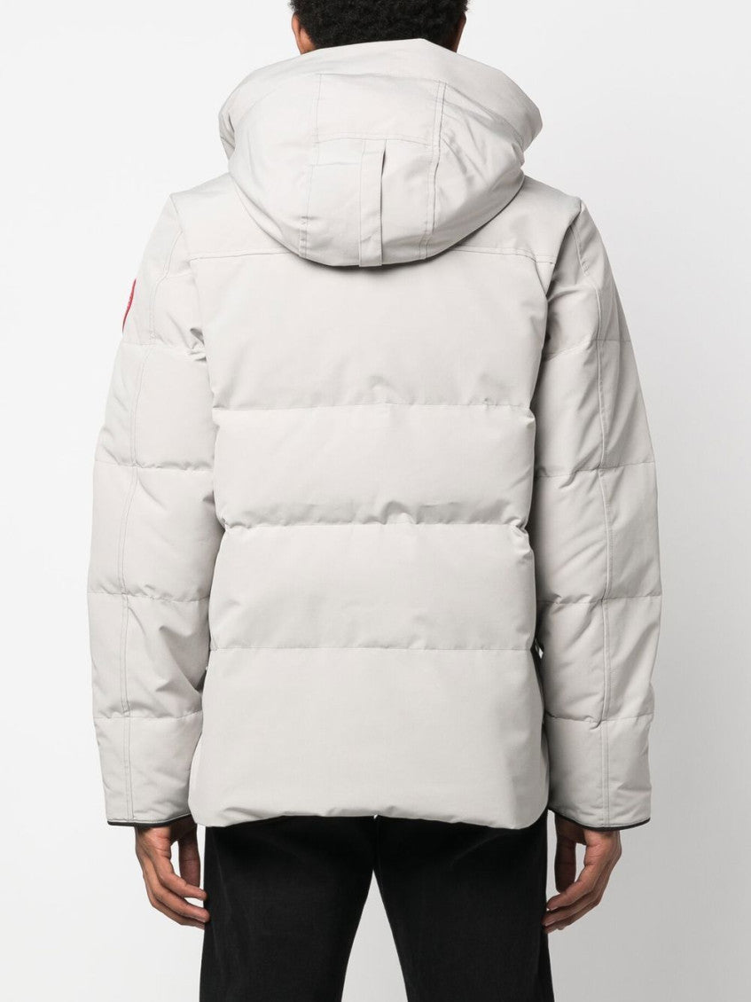 Limestone Grey Hooded Jacket 3