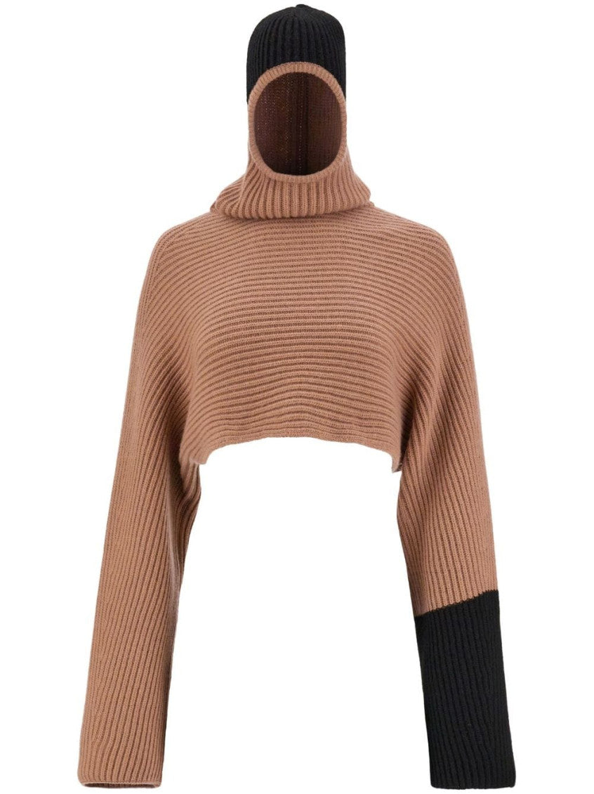 Beige Cashmere Cropped Hoodie 1