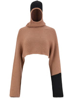 Beige Cashmere Cropped Hoodie 1