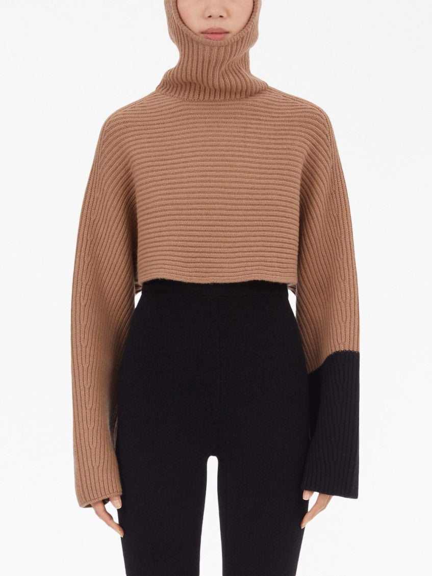 Beige Cashmere Cropped Hoodie 5