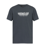Grey Crew Neck T-Shirts 1