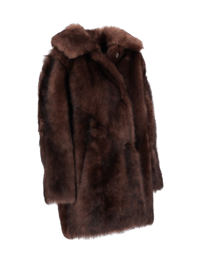Dark Brown Haired Coat 3