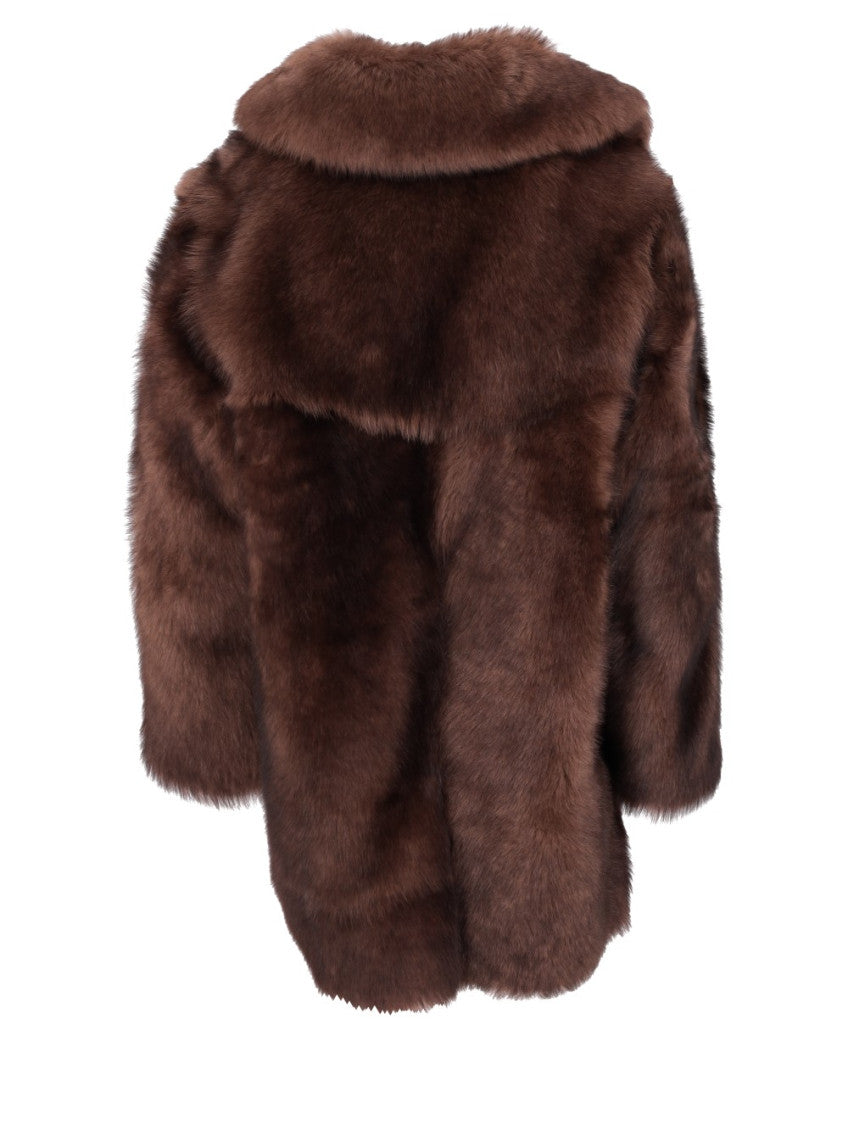 Dark Brown Haired Coat 4