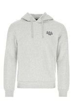 Grey Front Logo Hoodie 1