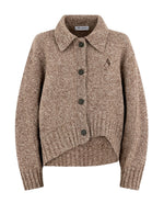 Brown Knitted Shirt Collar Sweater 1