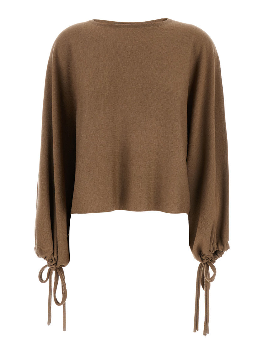 Brown Solid Crew Neck Sweater 1