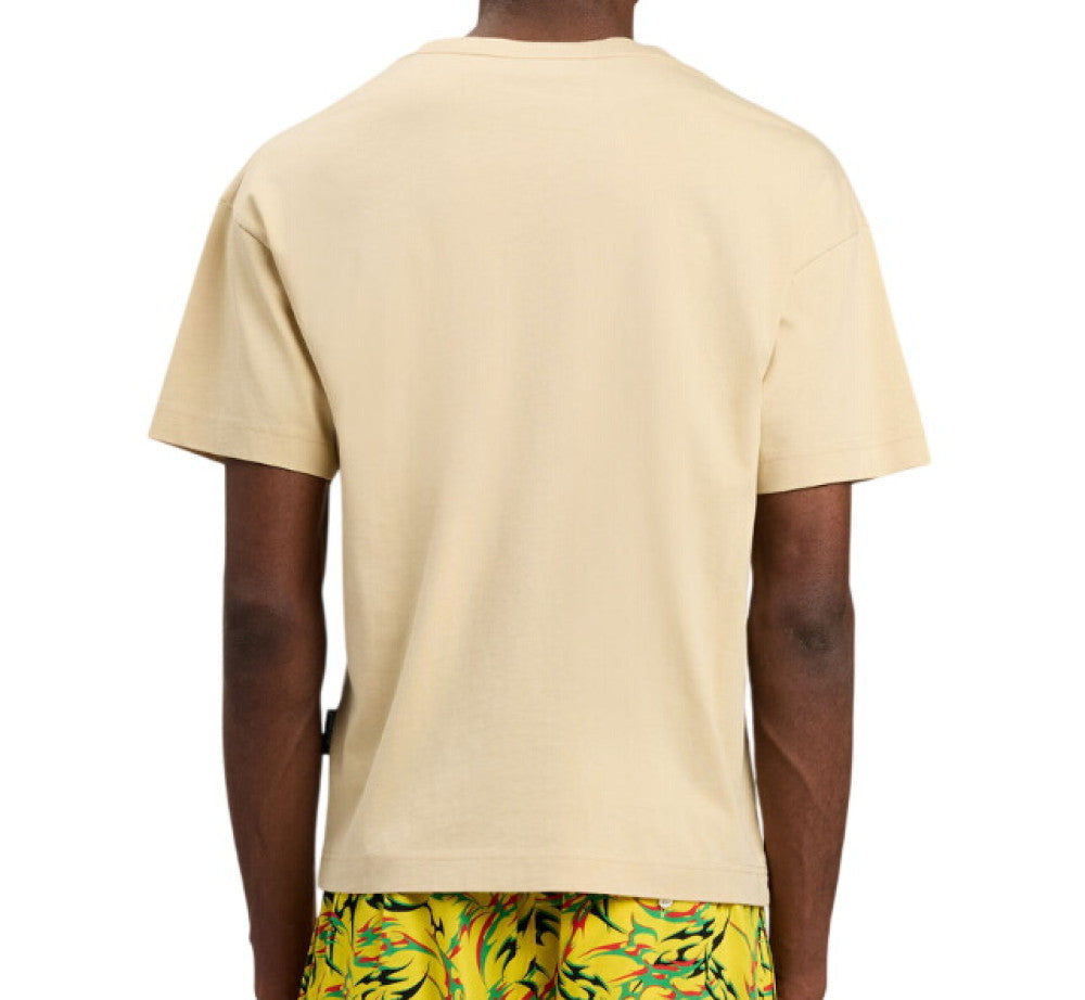 Multicolor 3-Pack Logo T-Shirts 3