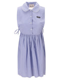 Blue Checks Shirt Collar Dress 1