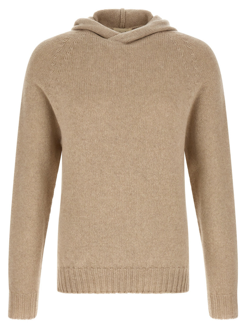 Beige Relaxed Knitted Hoodie 1