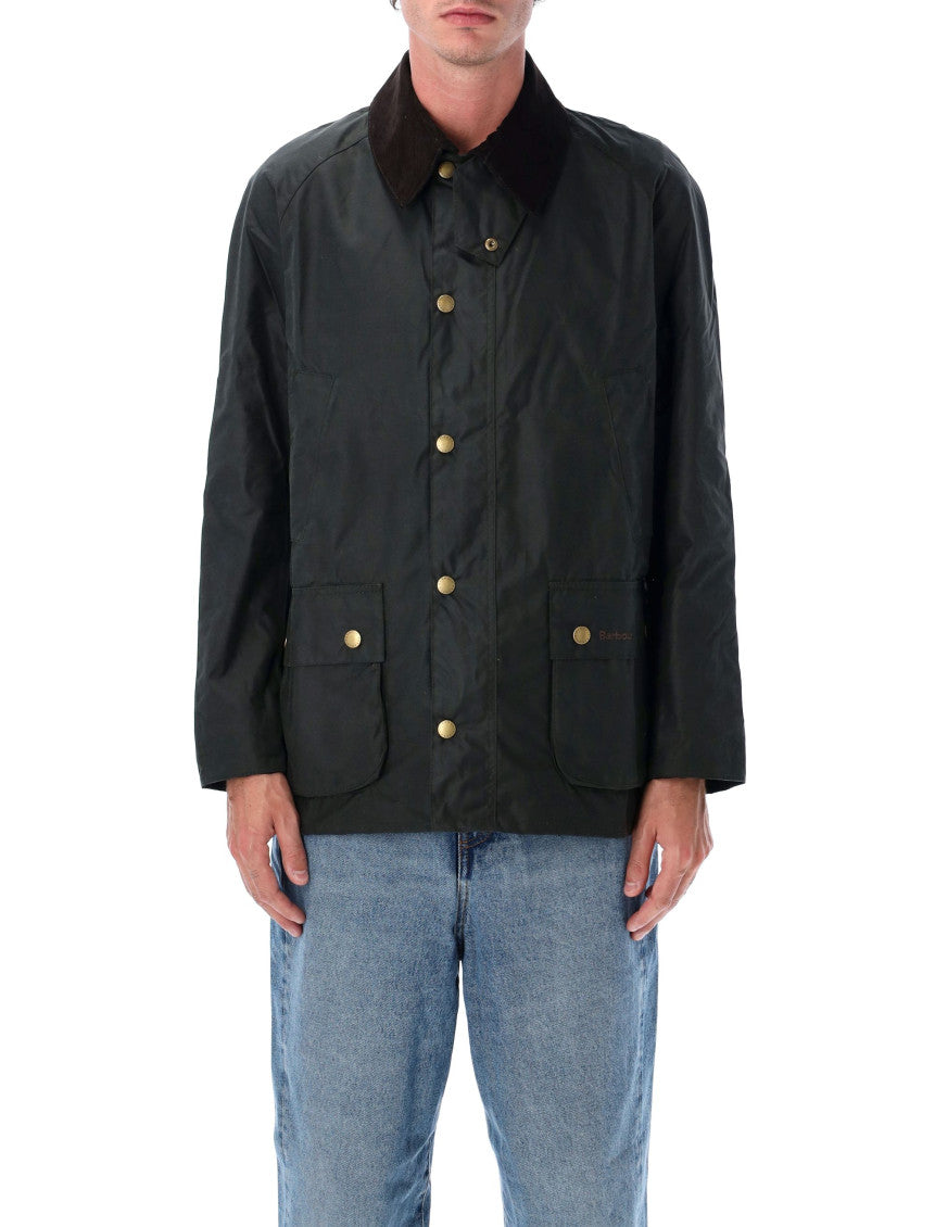 Green Point Collar Jacket 1