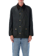 Green Point Collar Jacket 1