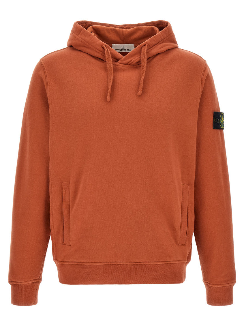 Brick Red Regular Hoodie 1