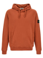 Brick Red Regular Hoodie 1