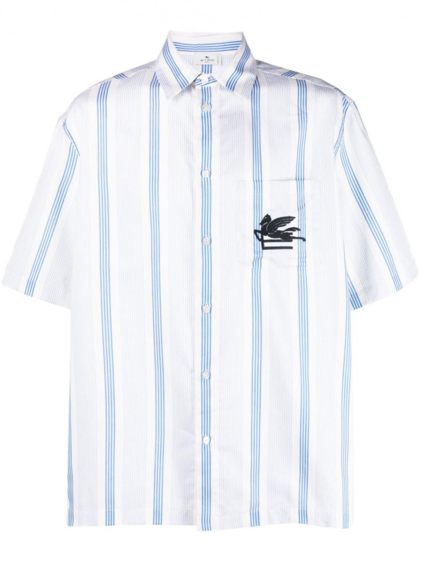 Blue Striped embroidered Shirt 2