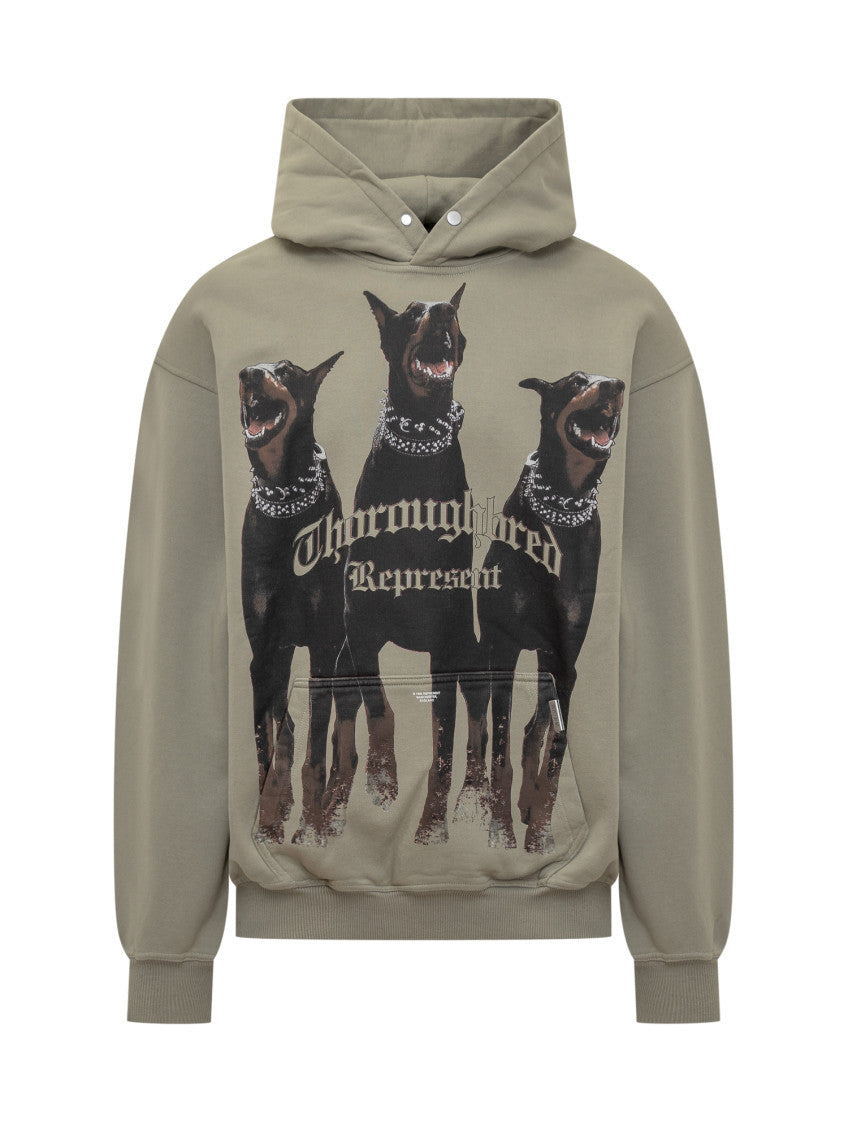 Olive Graphic Hood Sweatshirt 1