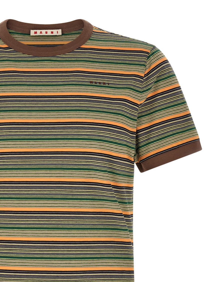 Multicolor Crew Neck T-Shirt 3