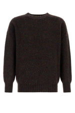 Brown Crewneck Solid Sweater 1