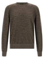 Brown Regular Crew Neck Sweater 1