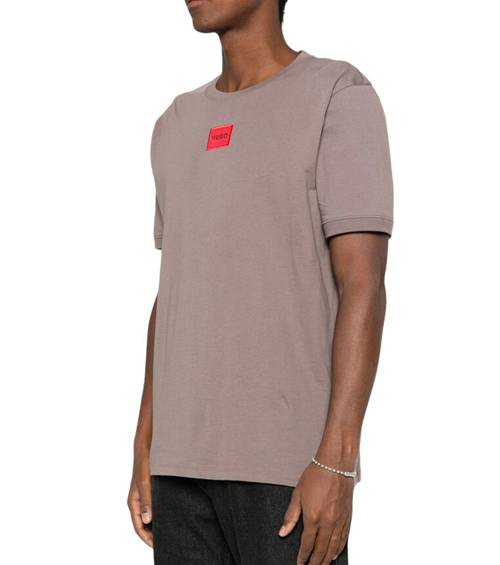 Taupe Regular Logo T-Shirt 2