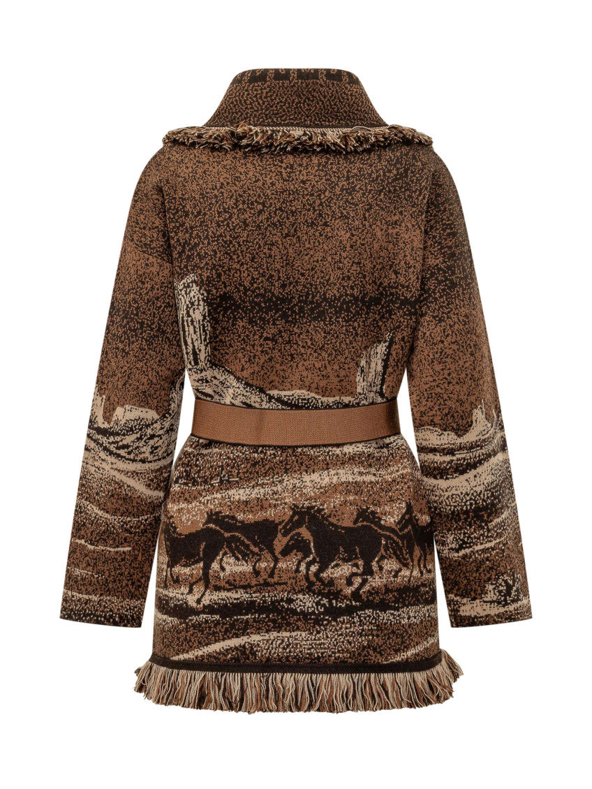 Brown Jacquard Shawl Neck Cardigan 2