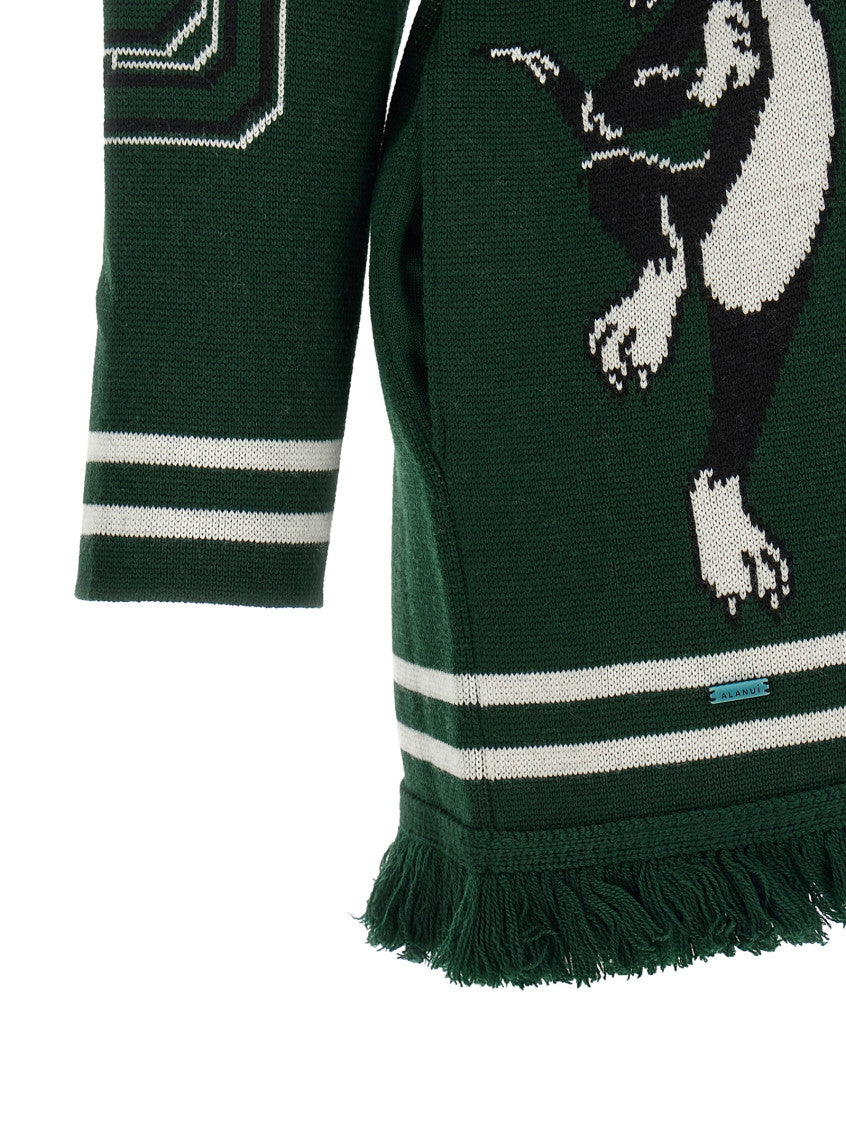 Dark Green Shawl Neck Cardigan 4