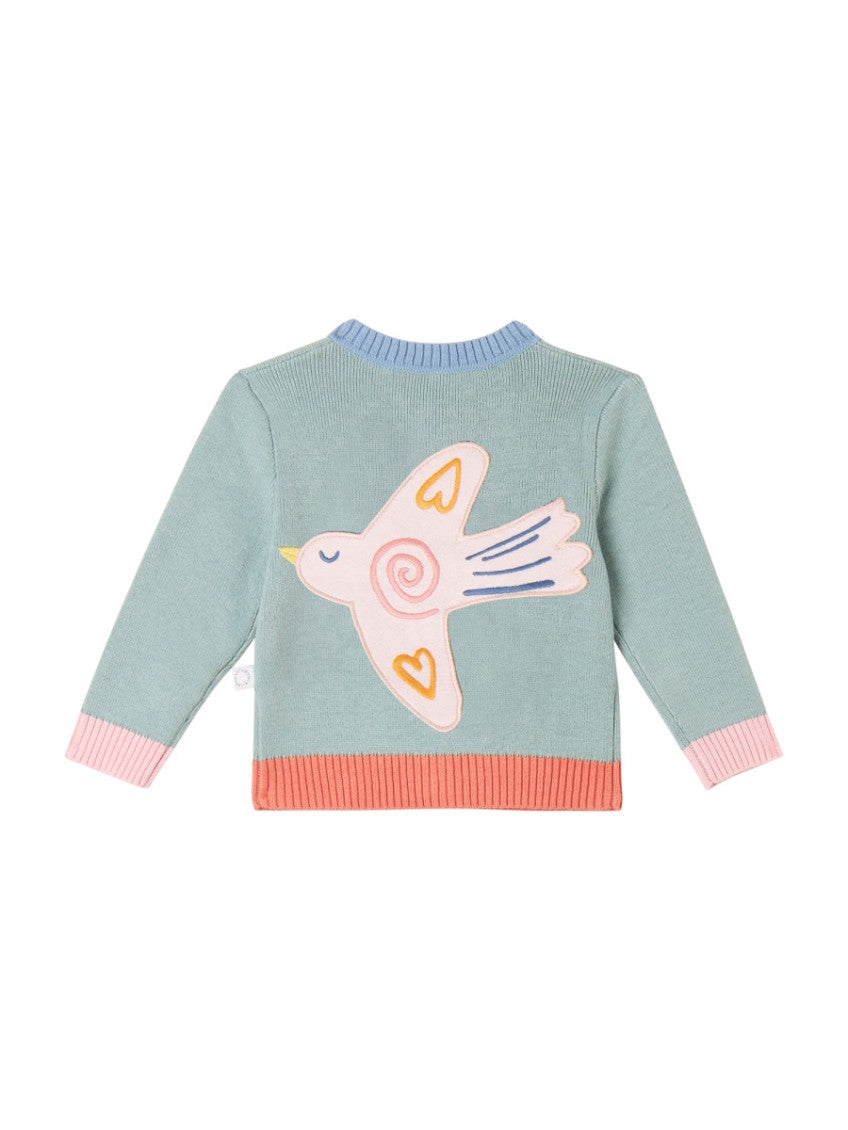 Babies Multi Color Embroidered Sweater 2