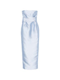 Blue Strapless Maxi Dress 1