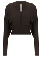 Brown V-Cropped Top 1