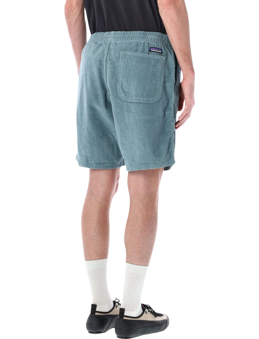 Blue Sage Textured Shorts 2