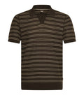 Brown Regular Striped Polo 1