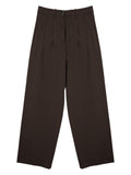 Brown Relaxed Pleated Pant 1