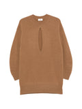 Brown Knitted Crew Neck Mini Dress 1