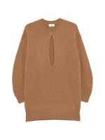 Brown Knitted Crew Neck Mini Dress 1