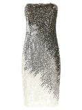 Silver Embellished Strapless Mini Dress 1