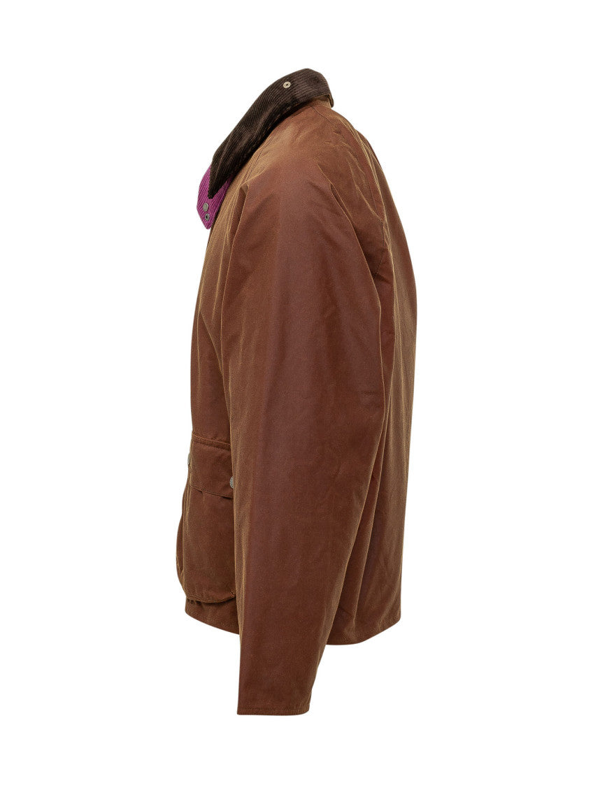 Brown Shirt Collar Jacket 3