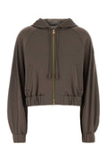 Brown Solid Hood Sweater 1