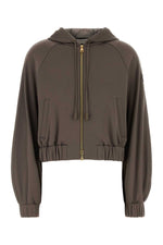 Brown Solid Hood Sweater 1