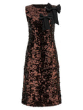 Brown 'Velvet Sequins Straight Midi' dress 1