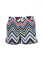 Multicolor Chevron Swim Shorts 1