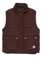 Dark Brown Sleeveless Jacket 1