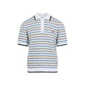 Multicolor Regular Polo 1