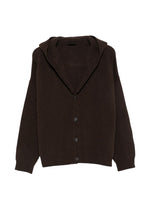 Brown Solid Shawl Neck Sweater 1
