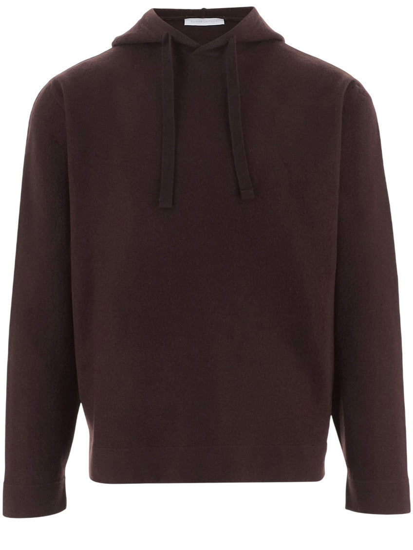 Brown Regular Hooded Sweater 1