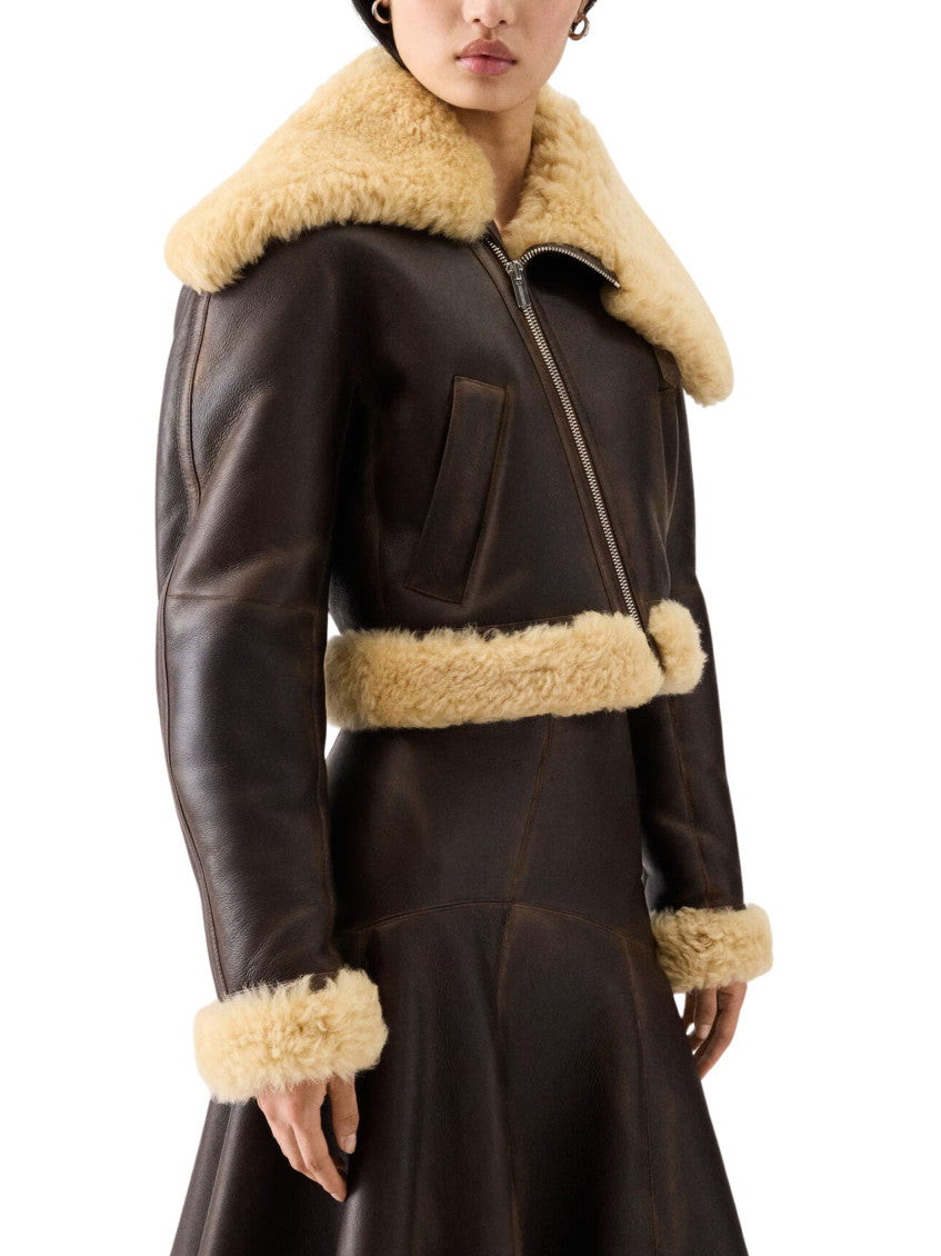 Dark Brown Cropped Jacket 2