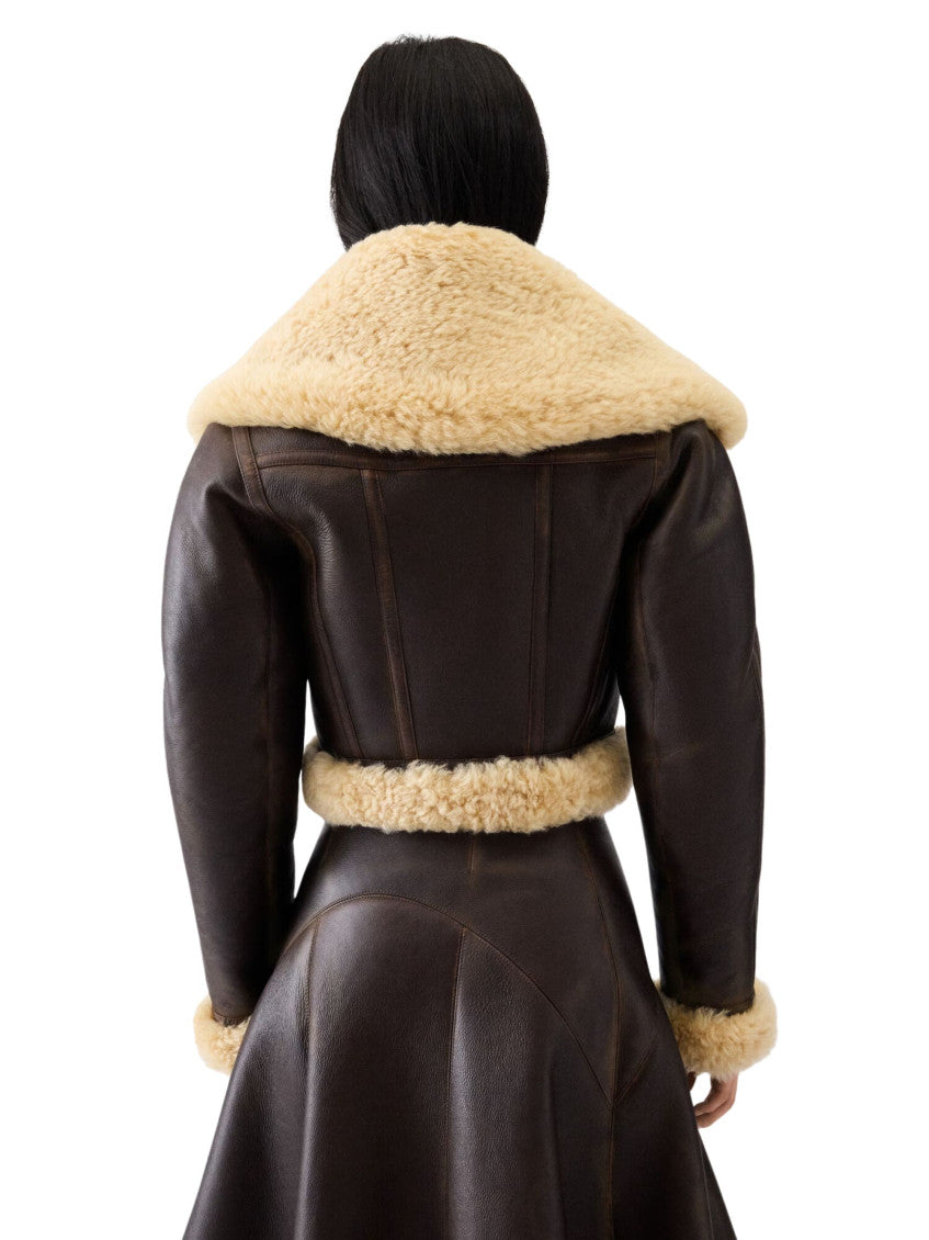 Dark Brown Cropped Jacket 3
