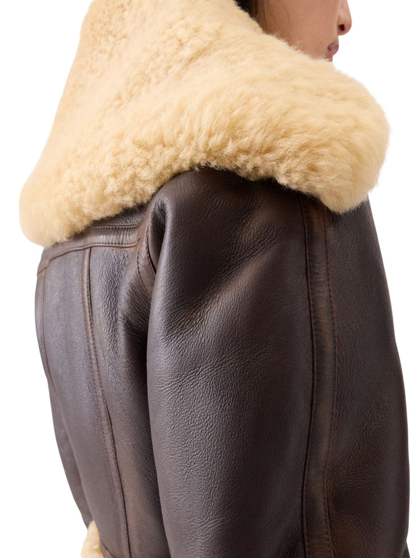 Dark Brown Cropped Jacket 5
