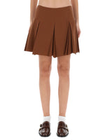 Brown Pleated Mini Skirt 1