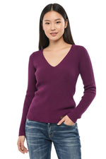 Purple Solid V Neck Sweater 1