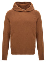 Brown Wool hooded sweater 1
