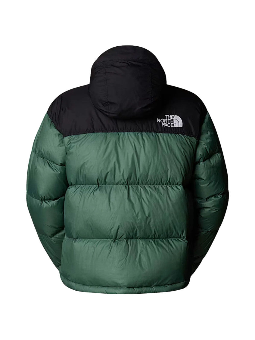 Green Mock Collar Jacket 2